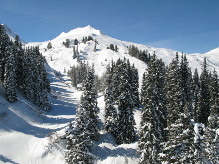 Швейцарские Альпы и чистый горный воздух