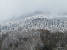 Швейцарские Альпы и чистый горный воздух