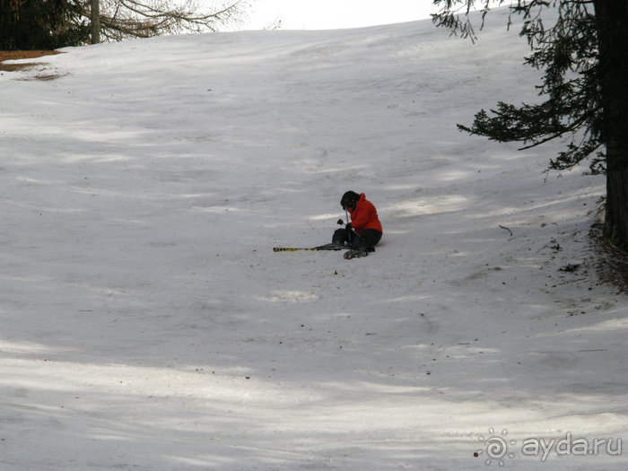 Швейцарские Альпы и чистый горный воздух