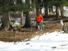 Швейцарские Альпы и чистый горный воздух