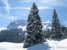 Швейцарские Альпы и чистый горный воздух