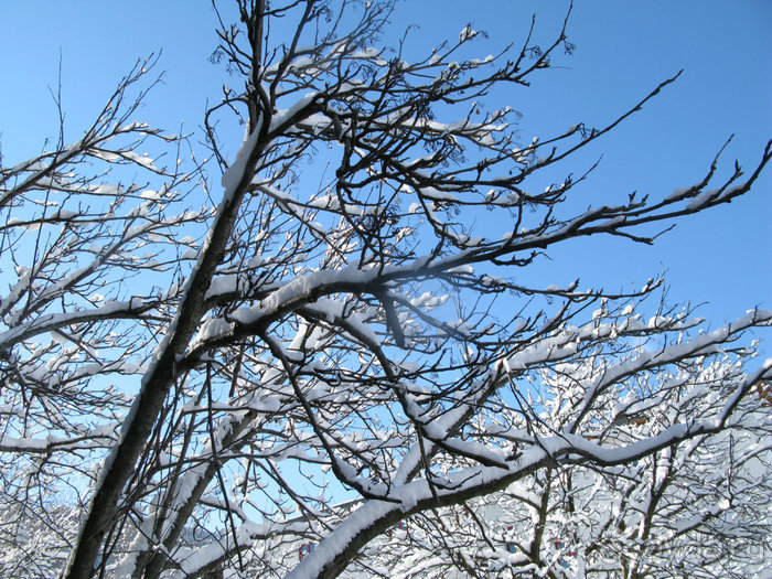 Швейцарские Альпы и чистый горный воздух