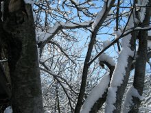 Швейцарские Альпы и чистый горный воздух