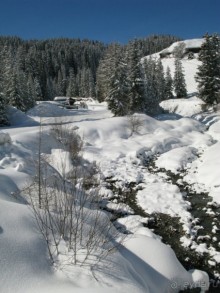 Швейцарские Альпы и чистый горный воздух