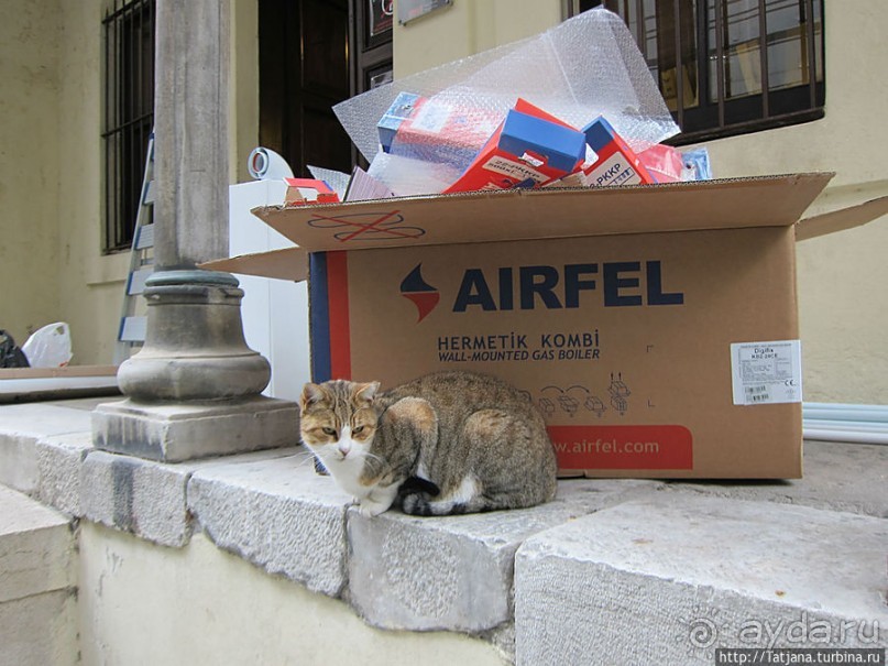 Быстрые зарисовки в Стамбуле