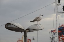 Быстрые зарисовки в Стамбуле