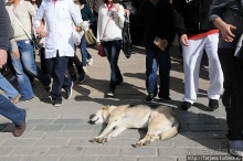 Быстрые зарисовки в Стамбуле