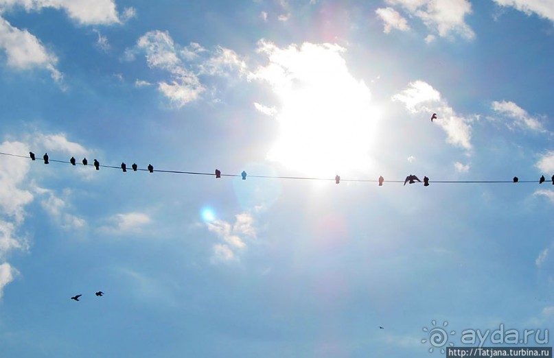 Быстрые зарисовки в Стамбуле