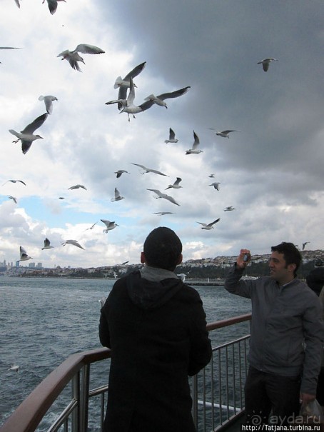 Быстрые зарисовки в Стамбуле