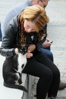 Быстрые зарисовки в Стамбуле