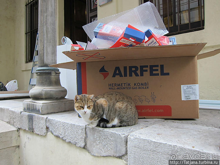 Быстрые зарисовки в Стамбуле