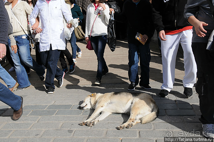 Быстрые зарисовки в Стамбуле