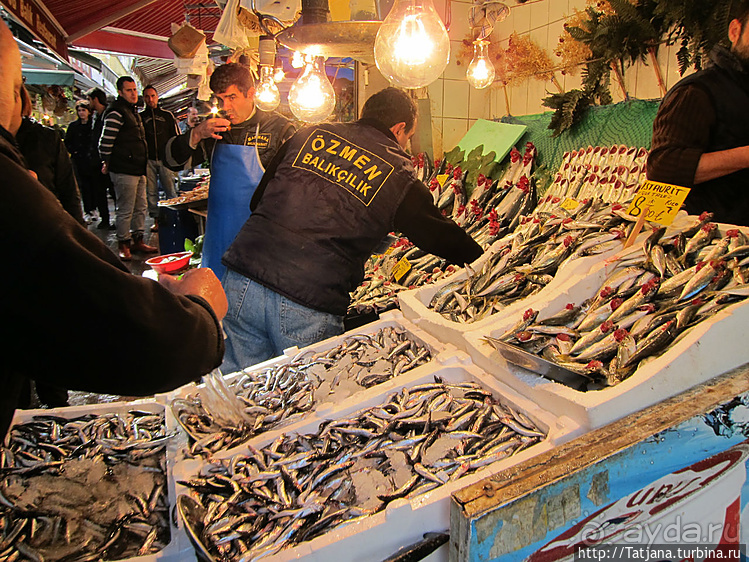 Быстрые зарисовки в Стамбуле