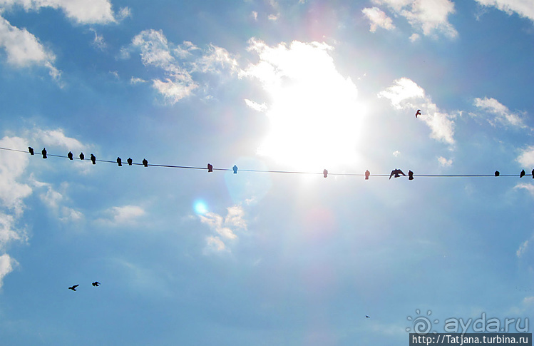 Быстрые зарисовки в Стамбуле