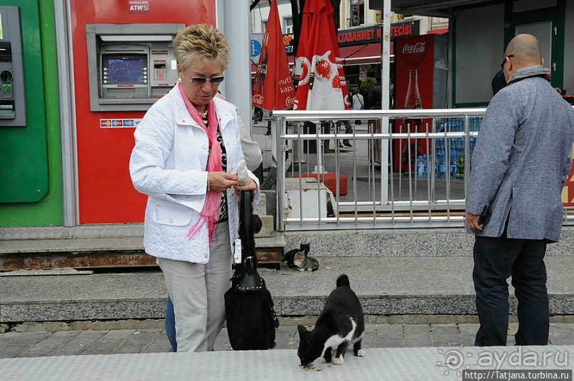 Быстрые зарисовки в Стамбуле