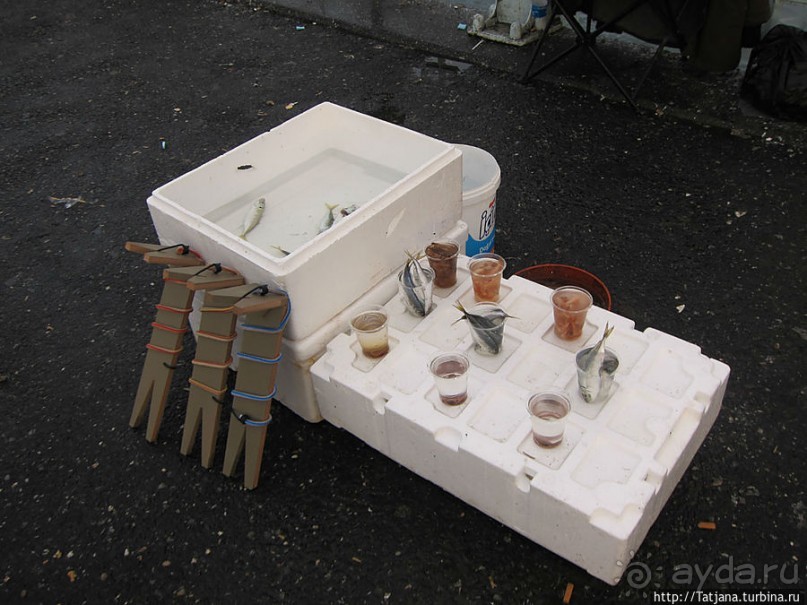 Быстрые зарисовки в Стамбуле