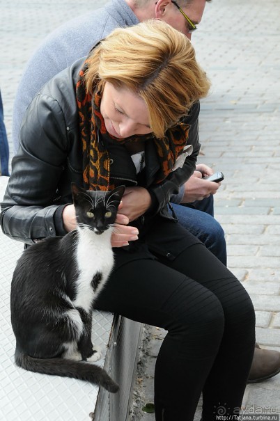 Быстрые зарисовки в Стамбуле