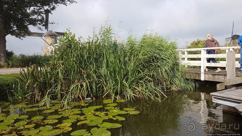 Kinderdijk, мельницы — история Голландии