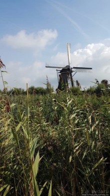 Kinderdijk, мельницы — история Голландии