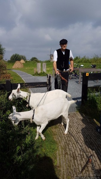 Kinderdijk, мельницы — история Голландии