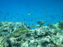 Замечательный отель с аквапарком в центре Хургады