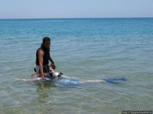 Замечательный отель с аквапарком в центре Хургады