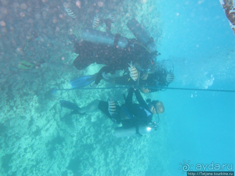 Замечательный отель с аквапарком в центре Хургады