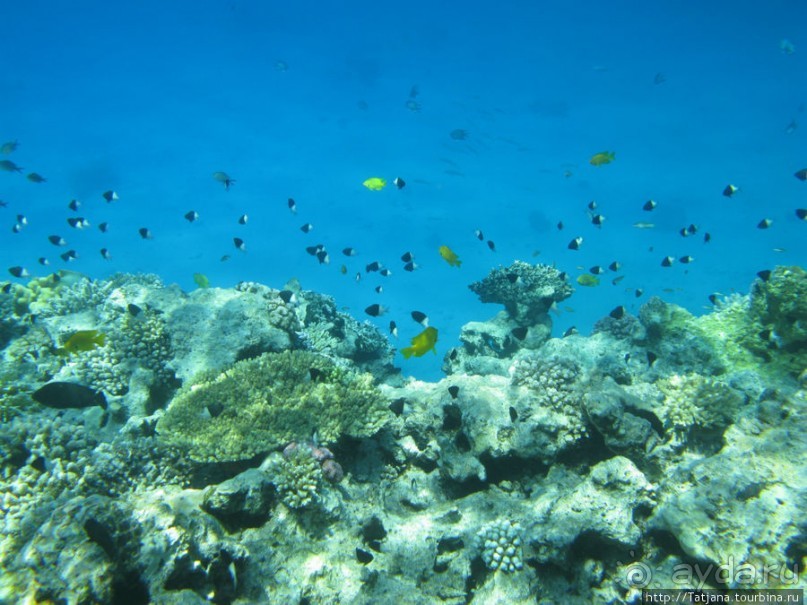 Замечательный отель с аквапарком в центре Хургады