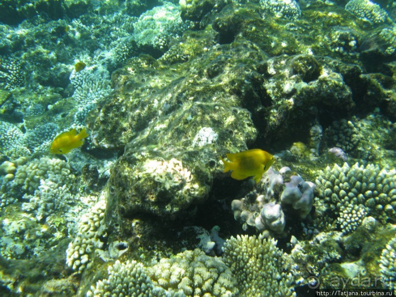 Замечательный отель с аквапарком в центре Хургады