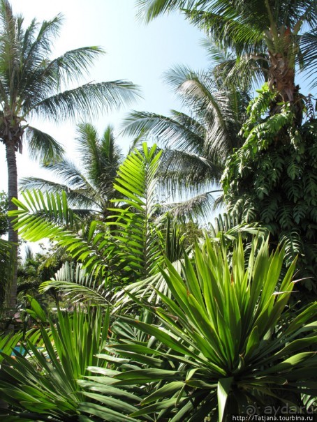 Отель 5 * Хуа-Хин Марриот Резорт& Спа