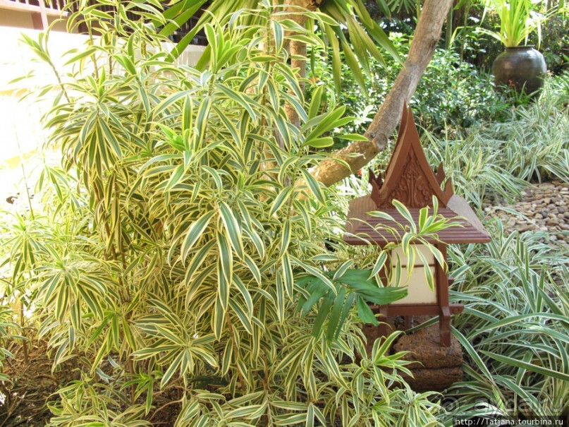 Отель 5 * Хуа-Хин Марриот Резорт& Спа