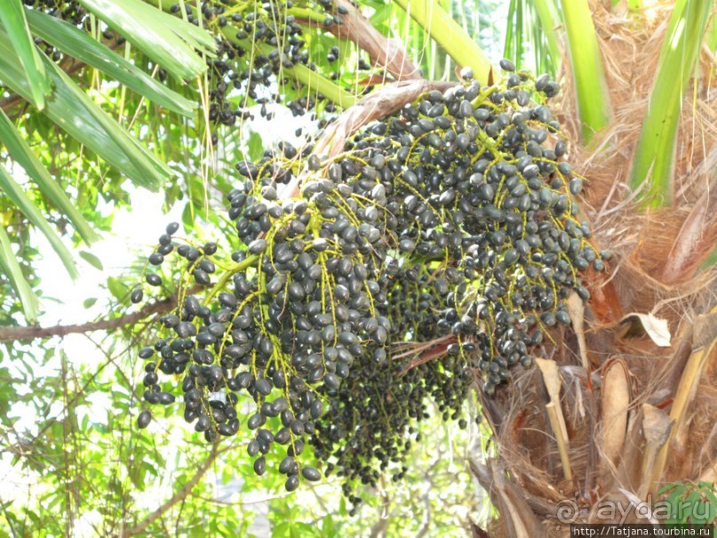 Отель 5 * Хуа-Хин Марриот Резорт& Спа