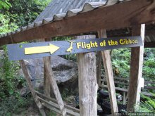 "Полет Гиббона" (Flight of the Gibbon)