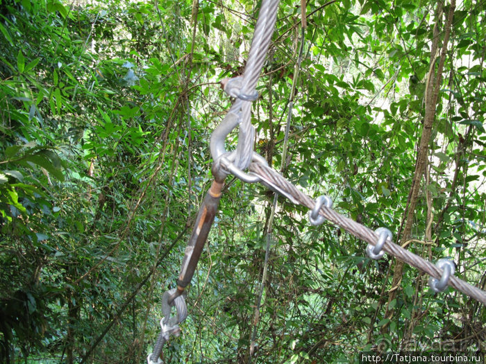 "Полет Гиббона" (Flight of the Gibbon)