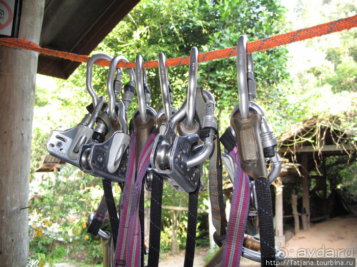 "Полет Гиббона" (Flight of the Gibbon)