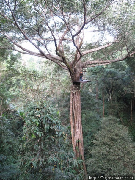 "Полет Гиббона" (Flight of the Gibbon)