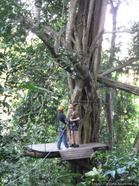 "Полет Гиббона" (Flight of the Gibbon)