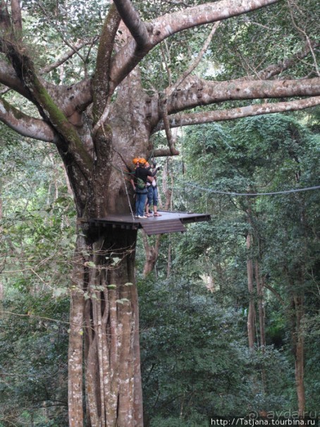 "Полет Гиббона" (Flight of the Gibbon)