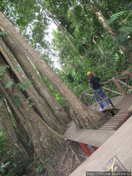 "Полет Гиббона" (Flight of the Gibbon)