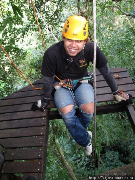 "Полет Гиббона" (Flight of the Gibbon)