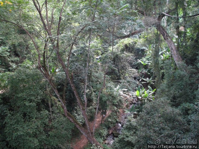 "Полет Гиббона" (Flight of the Gibbon)