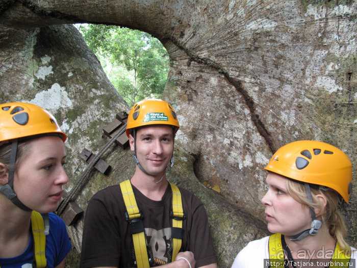 "Полет Гиббона" (Flight of the Gibbon)
