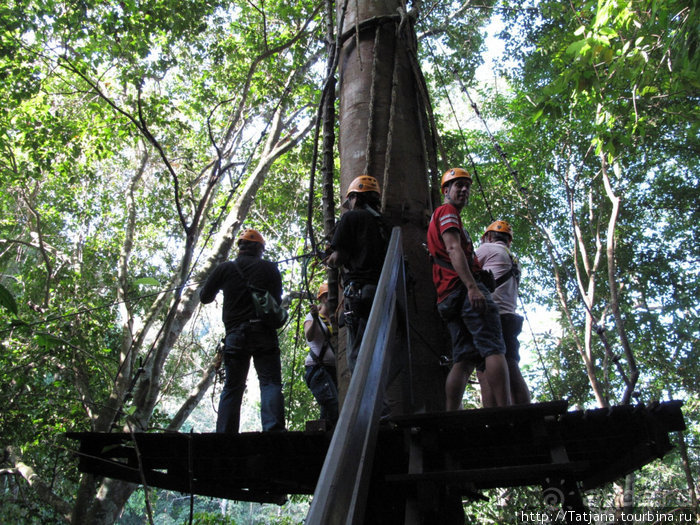 "Полет Гиббона" (Flight of the Gibbon)