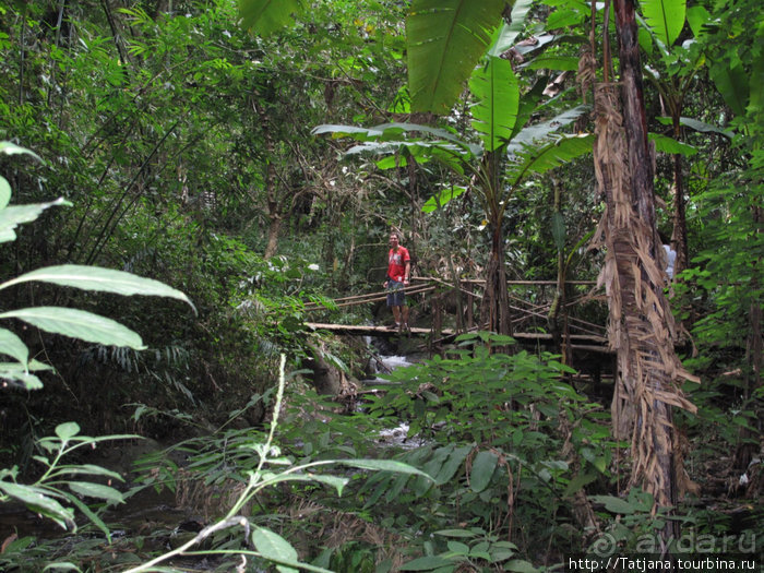 "Полет Гиббона" (Flight of the Gibbon)