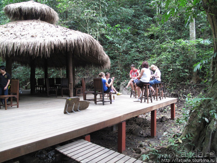 "Полет Гиббона" (Flight of the Gibbon)