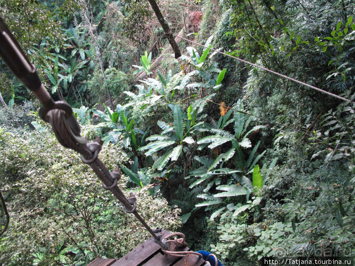 "Полет Гиббона" (Flight of the Gibbon)