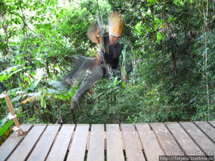 "Полет Гиббона" (Flight of the Gibbon)