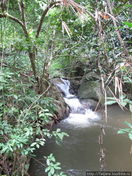 "Полет Гиббона" (Flight of the Gibbon)
