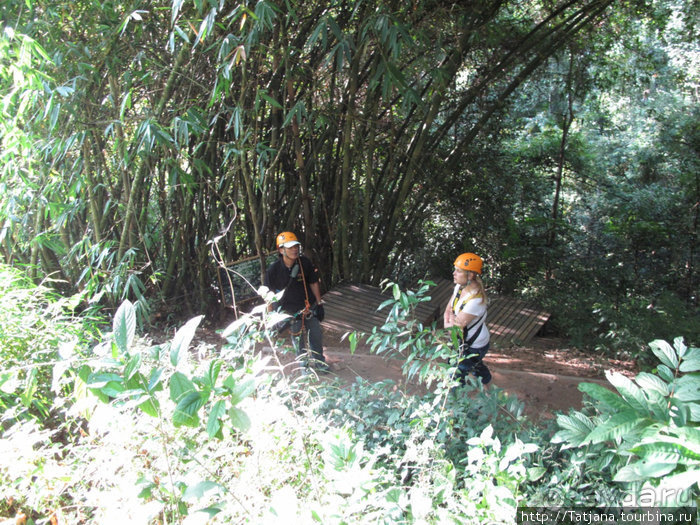 "Полет Гиббона" (Flight of the Gibbon)