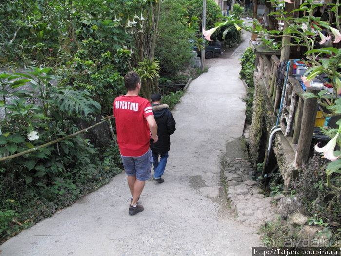 "Полет Гиббона" (Flight of the Gibbon)
